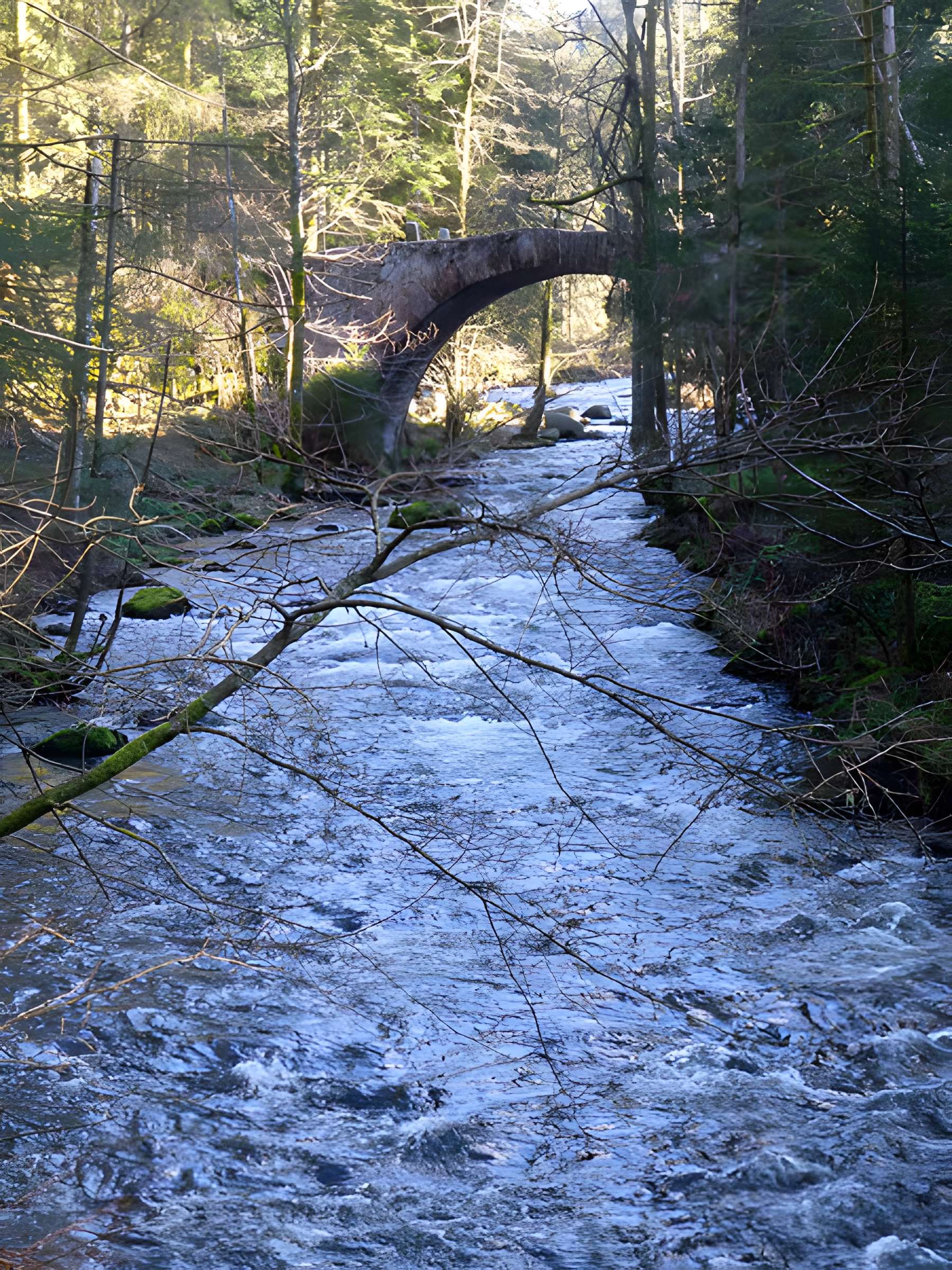 Pont des Fées de Xonrupt-Longemer