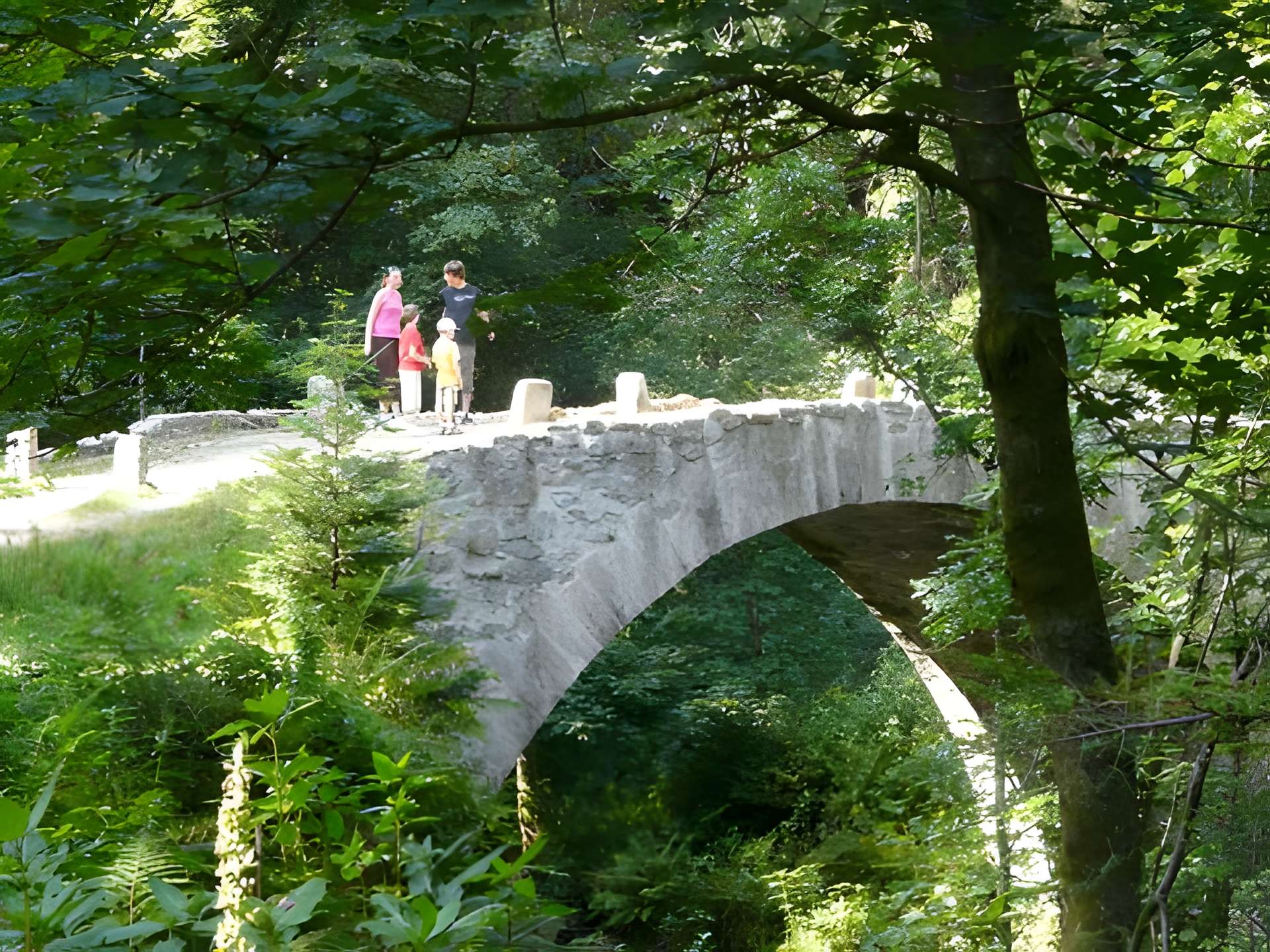 Pont des Fées de Xonrupt-Longemer 