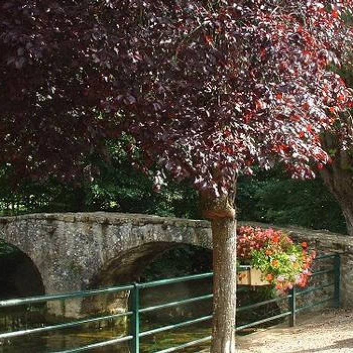 Photo de Pont des Romains de Venarey-Les Laumes