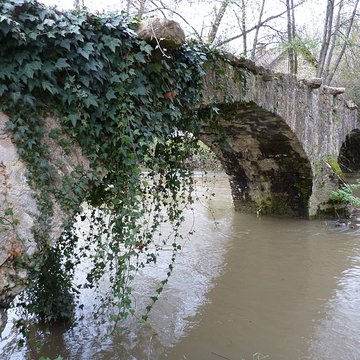 Pont des Romains de Venarey-Les Laumes