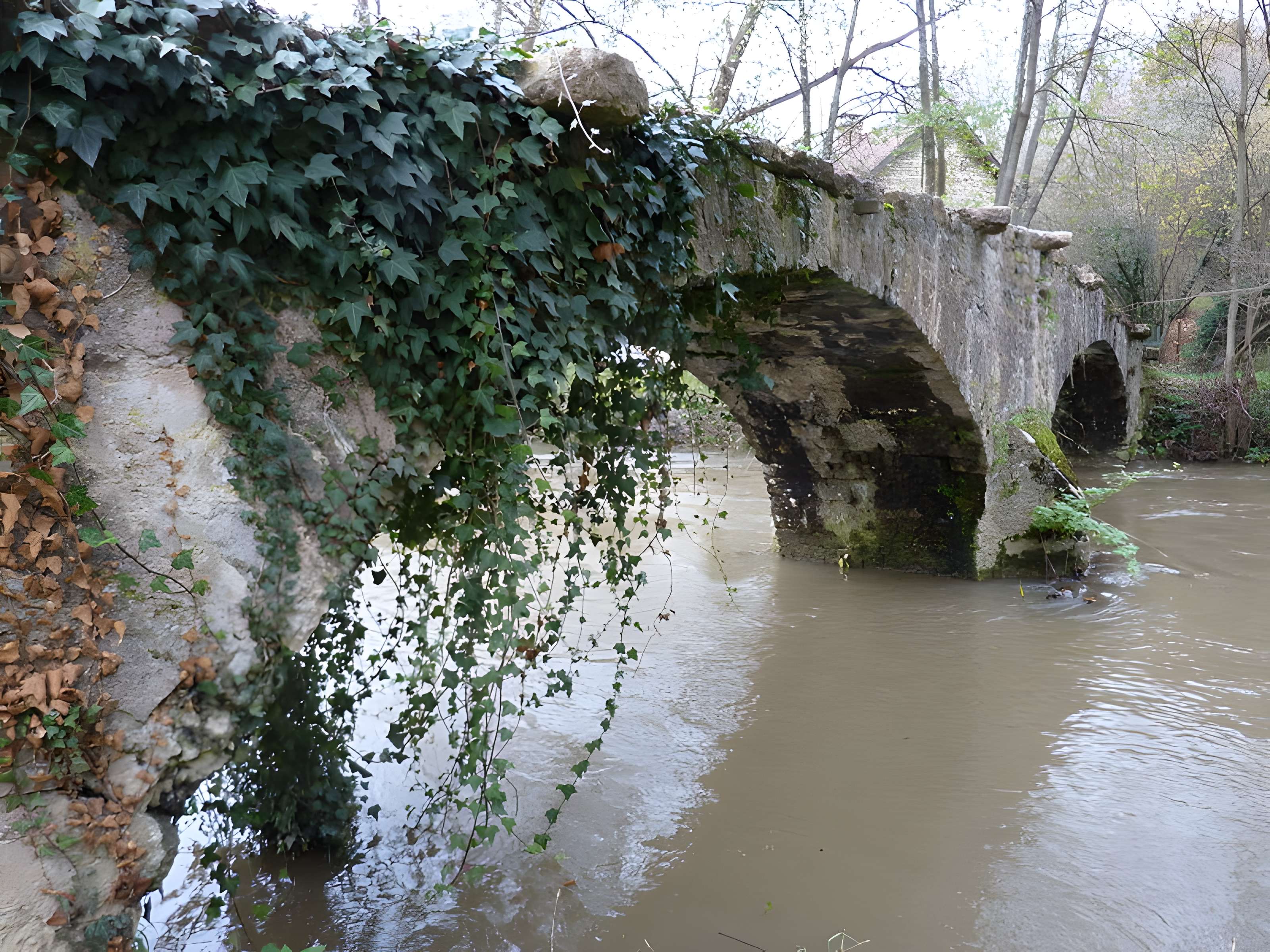 Pont des Romains de Venarey-Les Laumes
