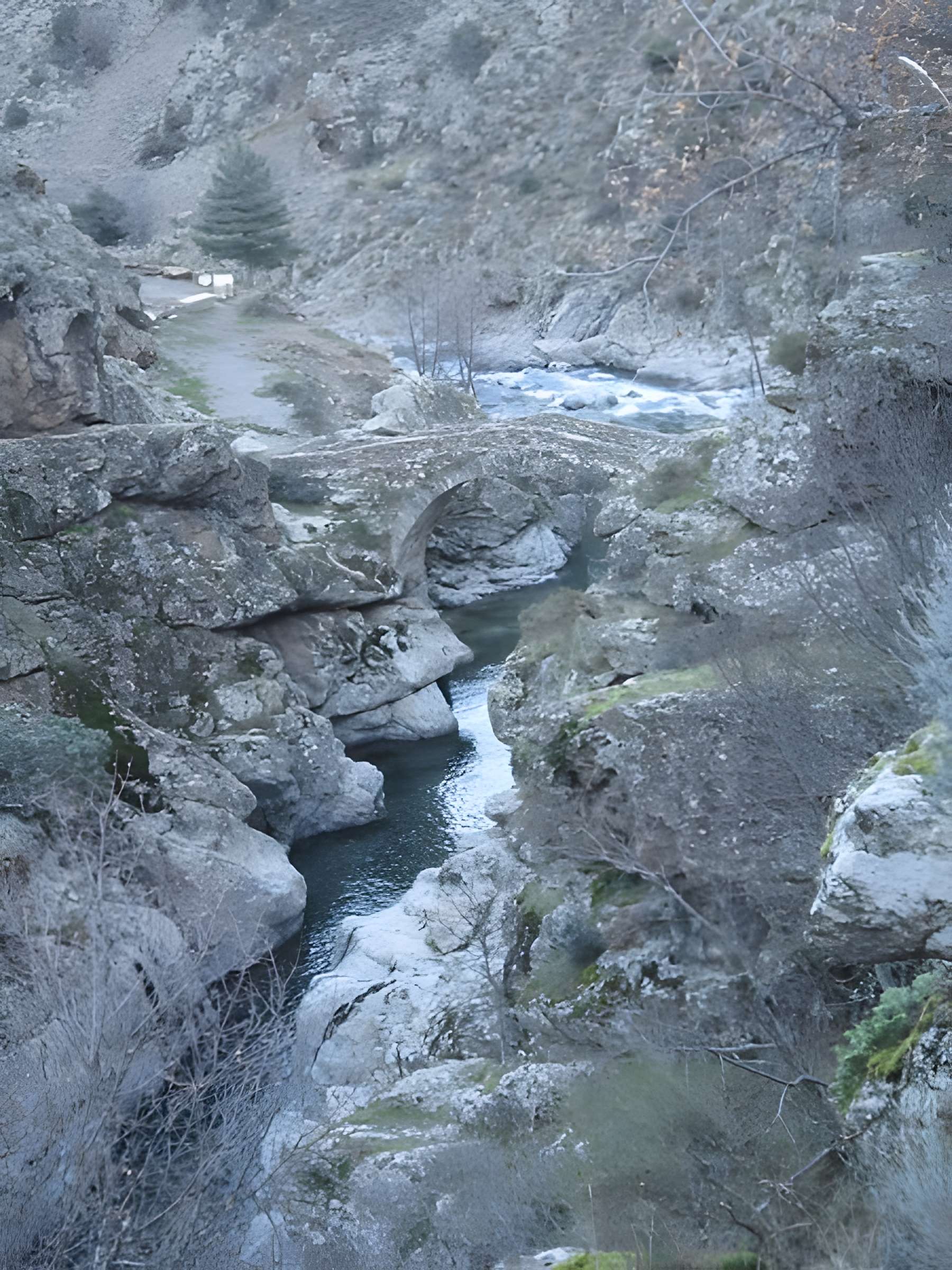 Pont génois d'Ascu à Asco