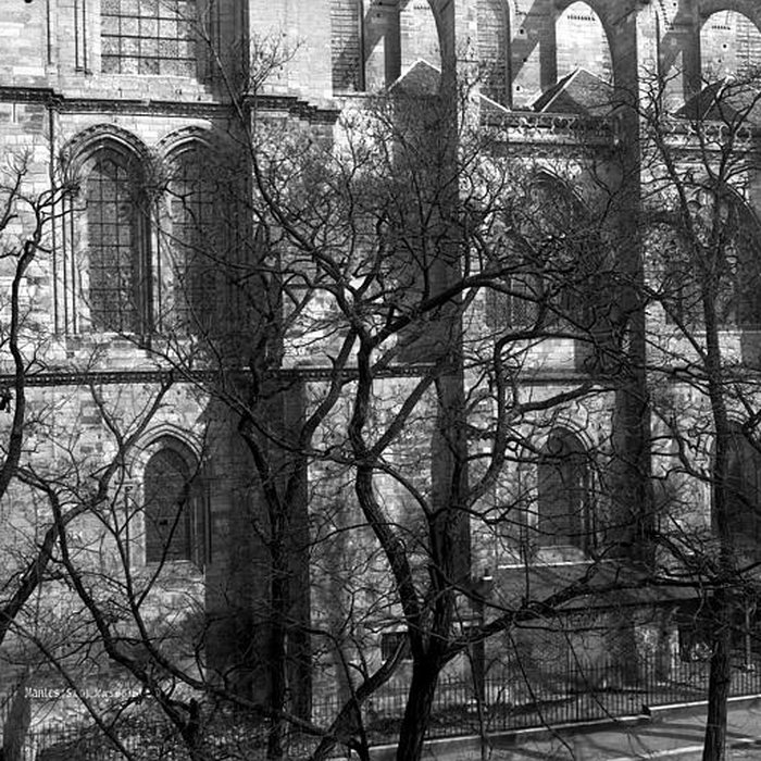 Photo de Collégiale Notre-Dame de Mantes-la-Jolie