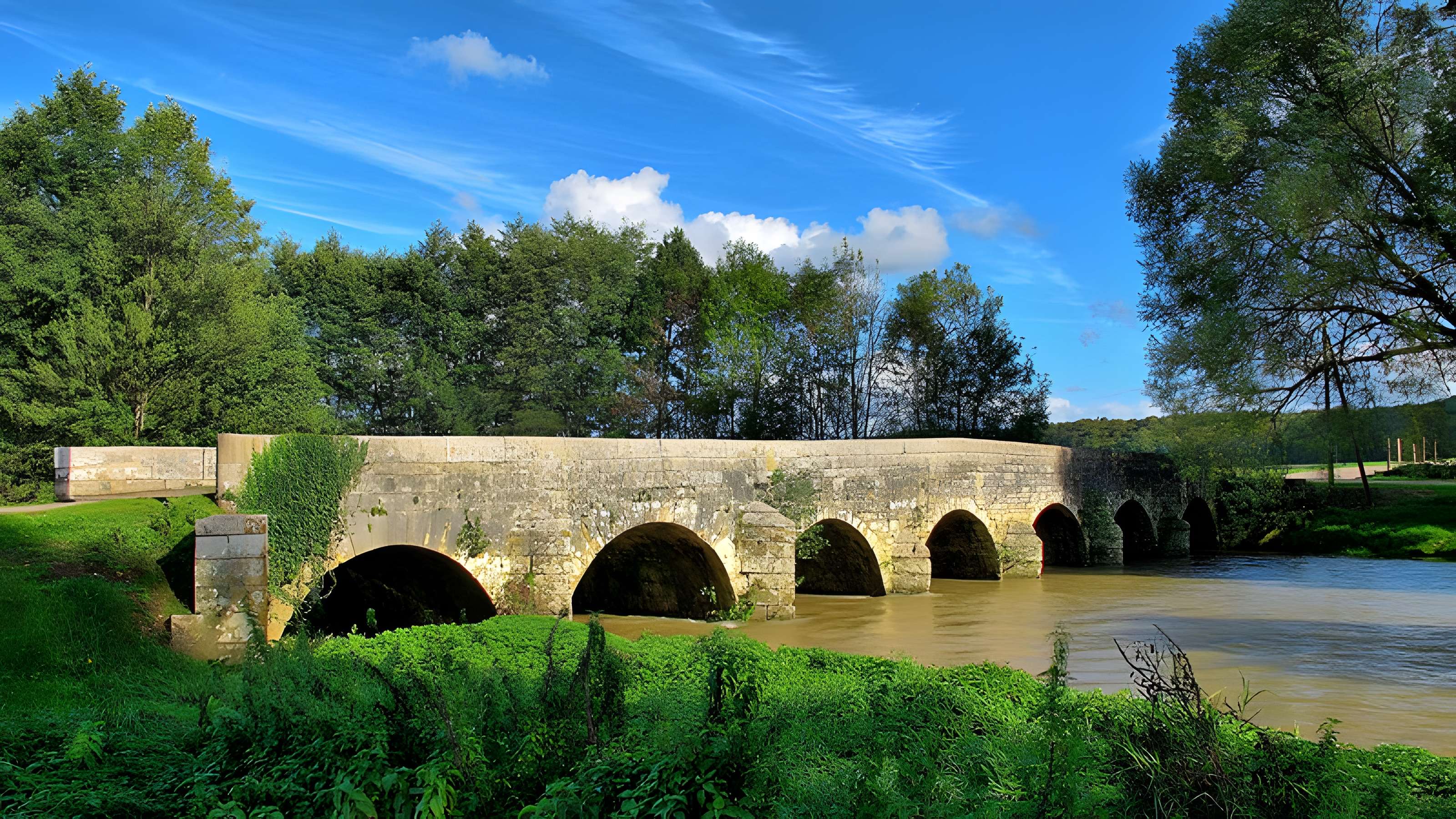 Pont sur le Salon de Montot