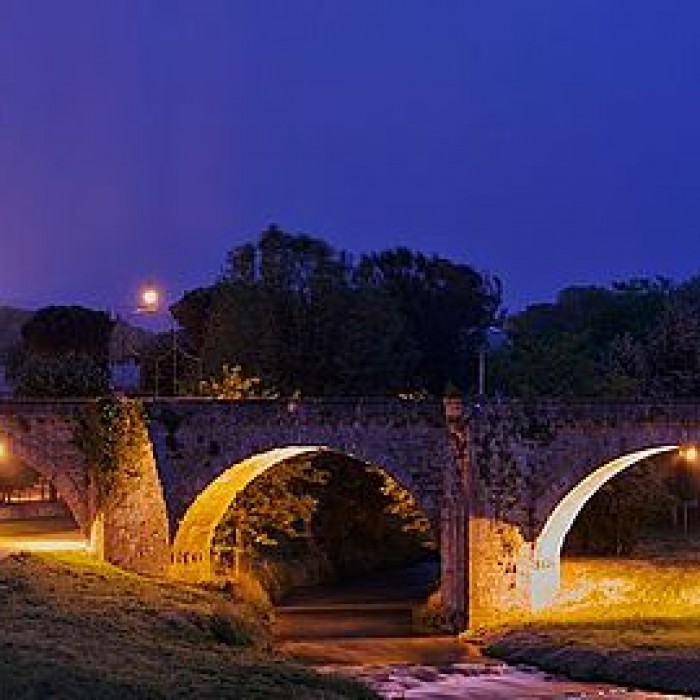 Photo de Pont Vieux de Carcassonne