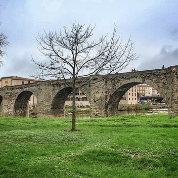 Pont Vieux de Carcassonne