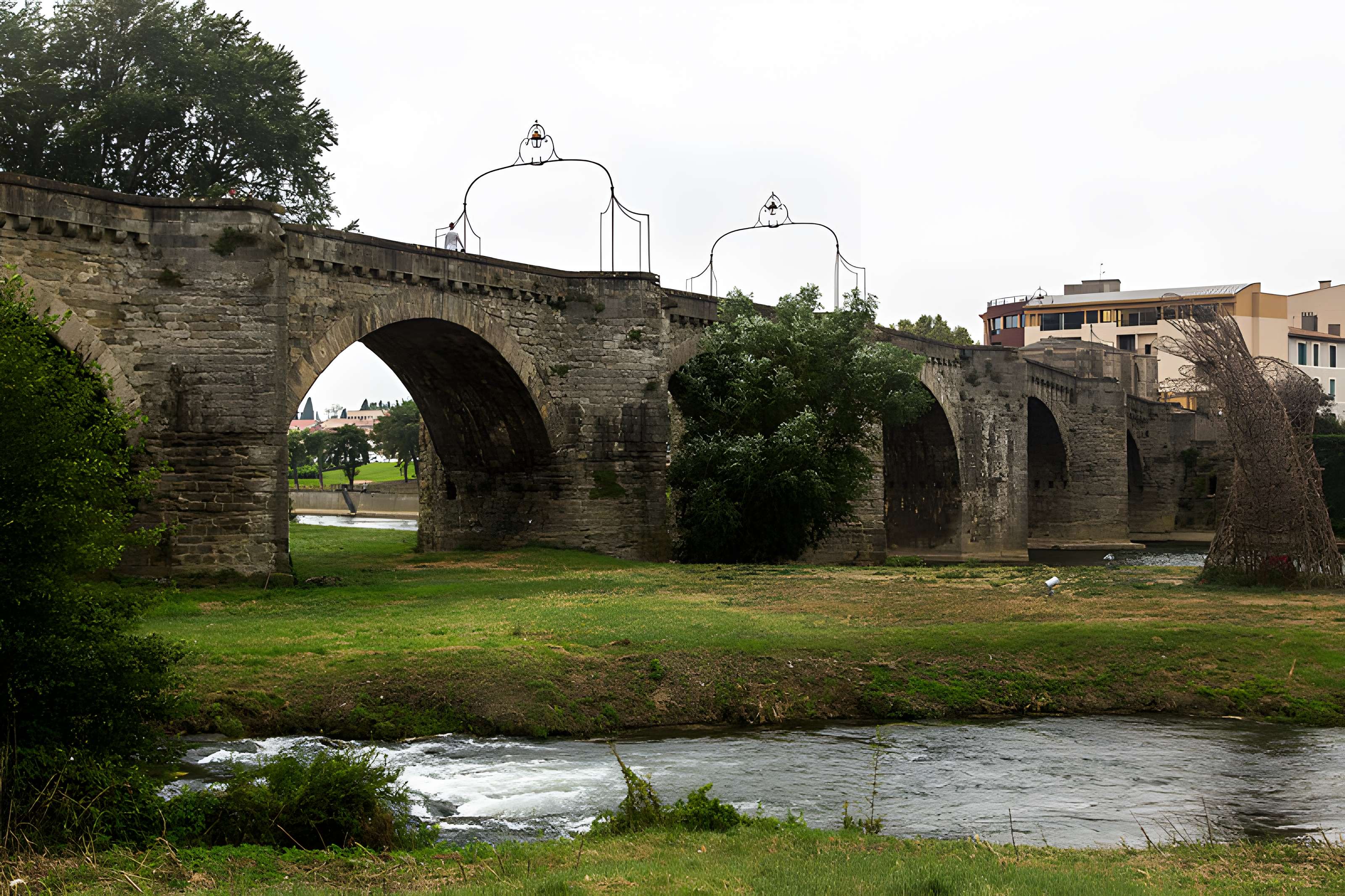 Pont Vieux de Carcassonne