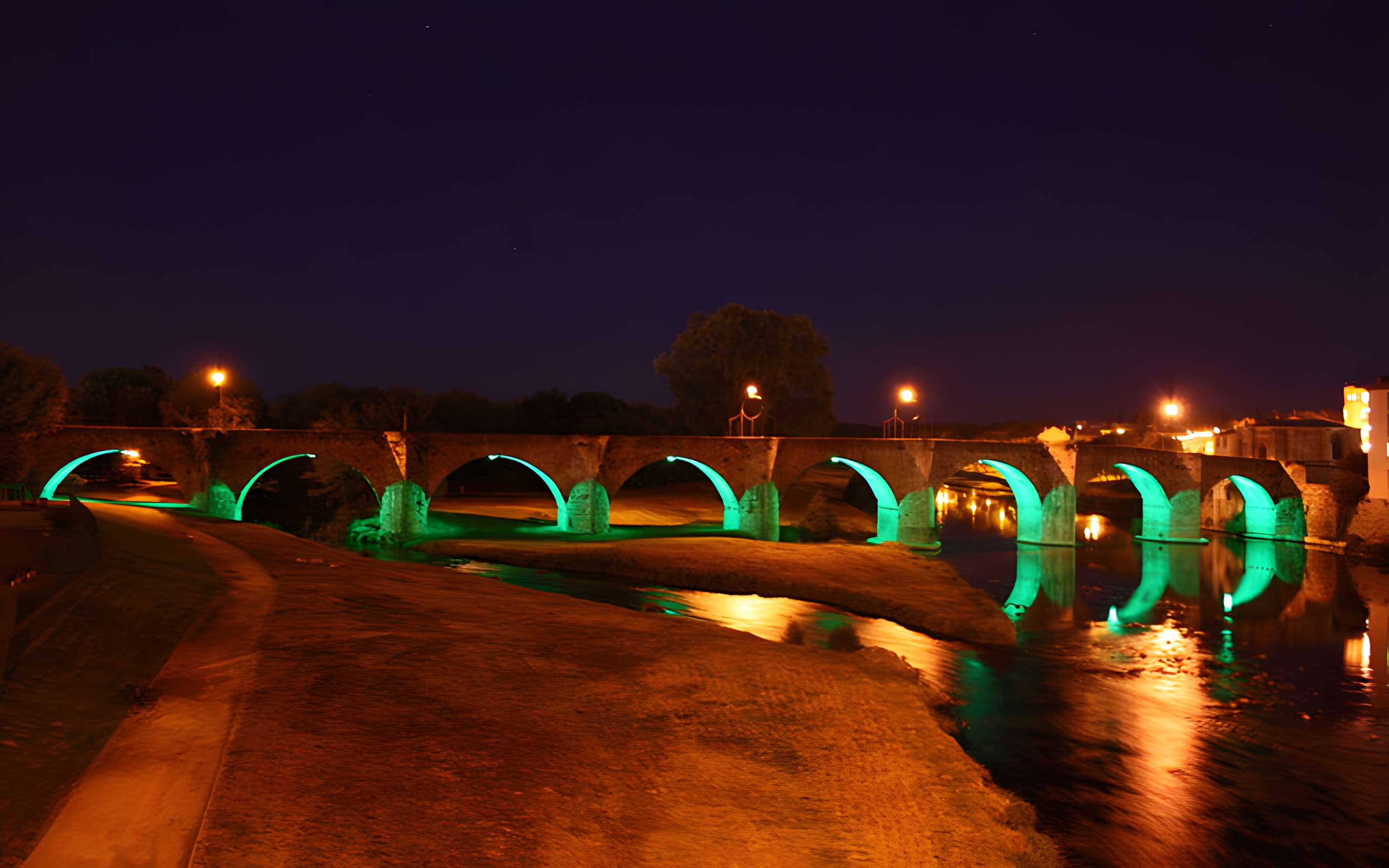 Pont Vieux de Carcassonne