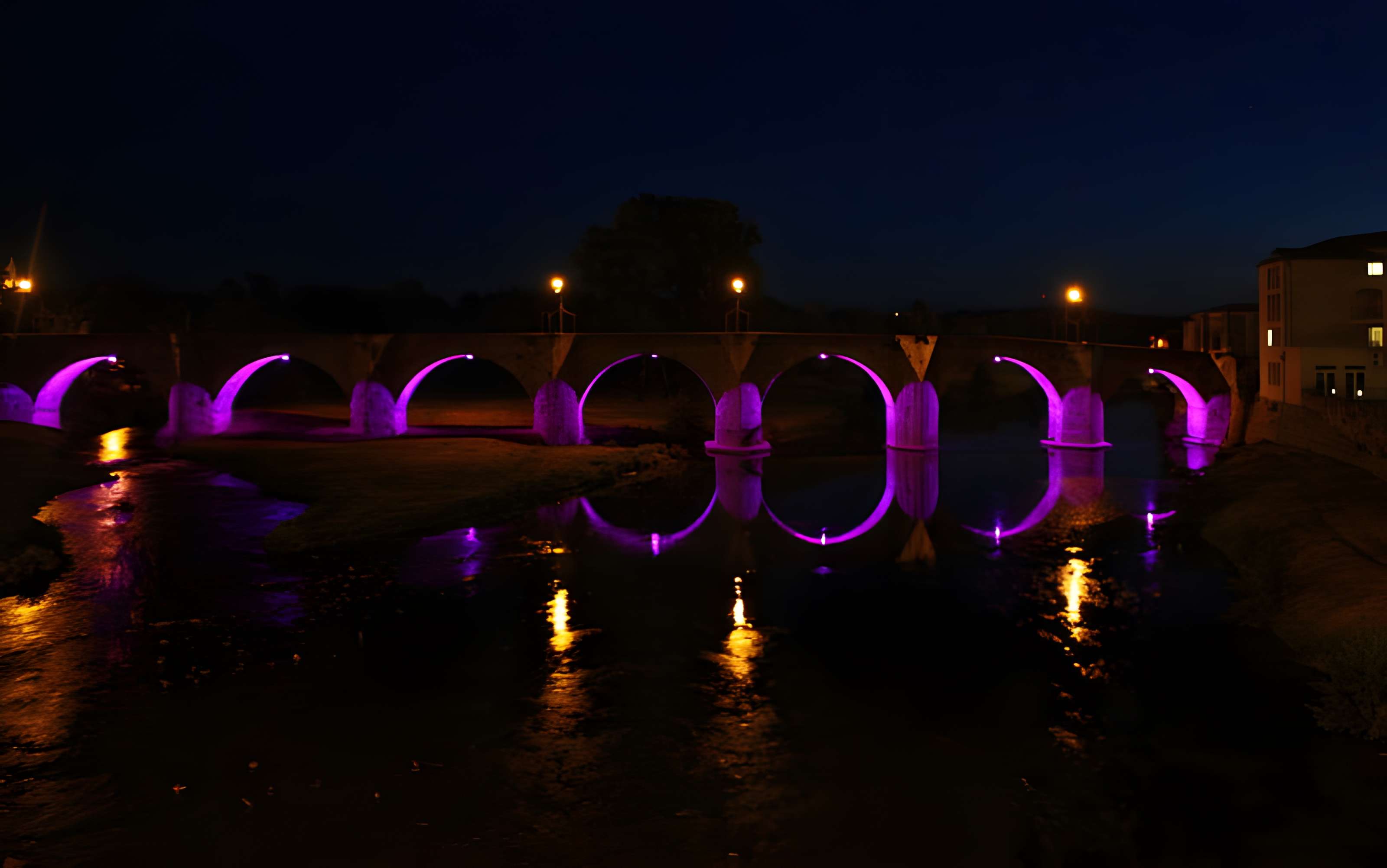 Pont Vieux de Carcassonne