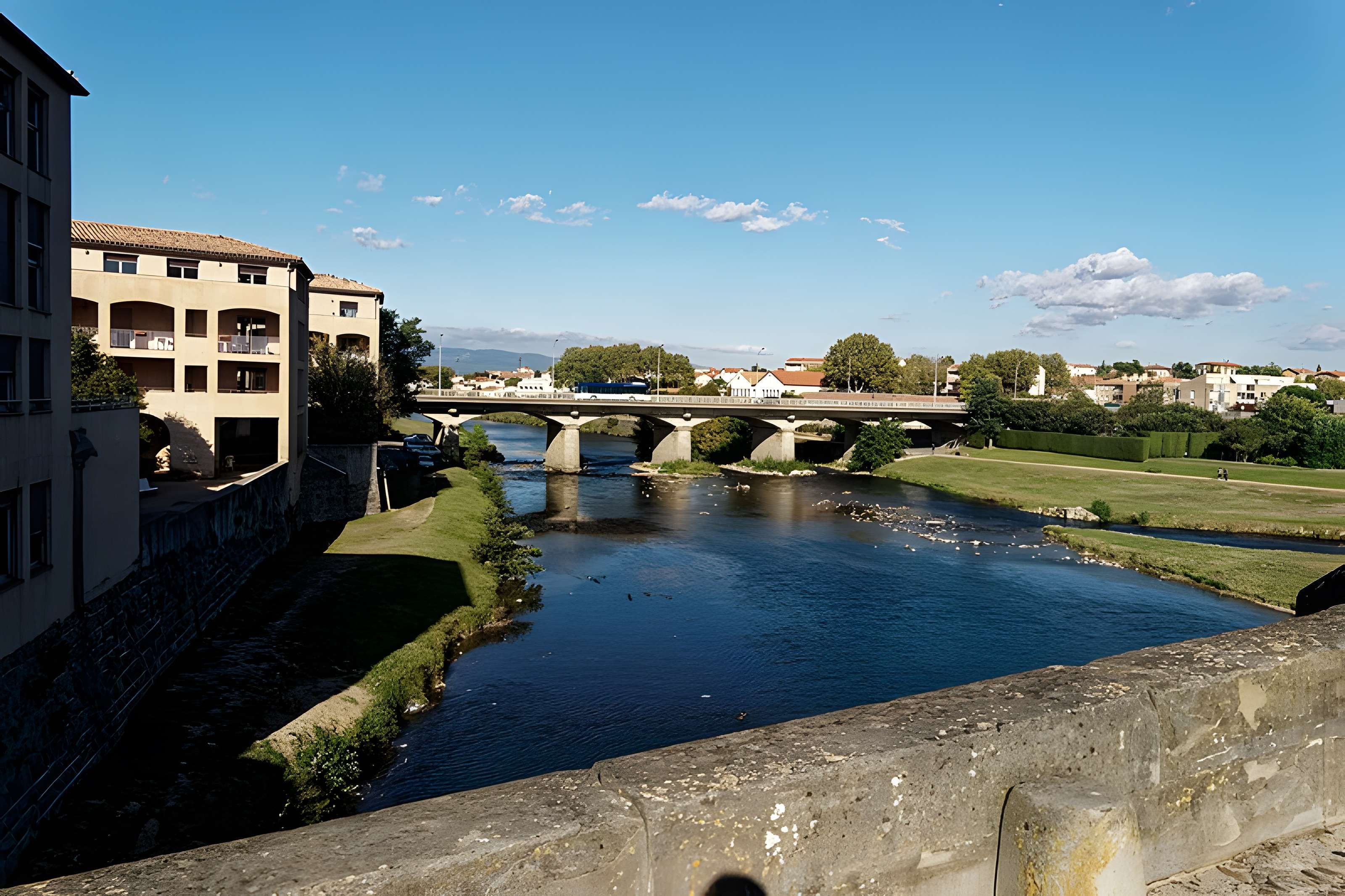 Pont Vieux de Carcassonne