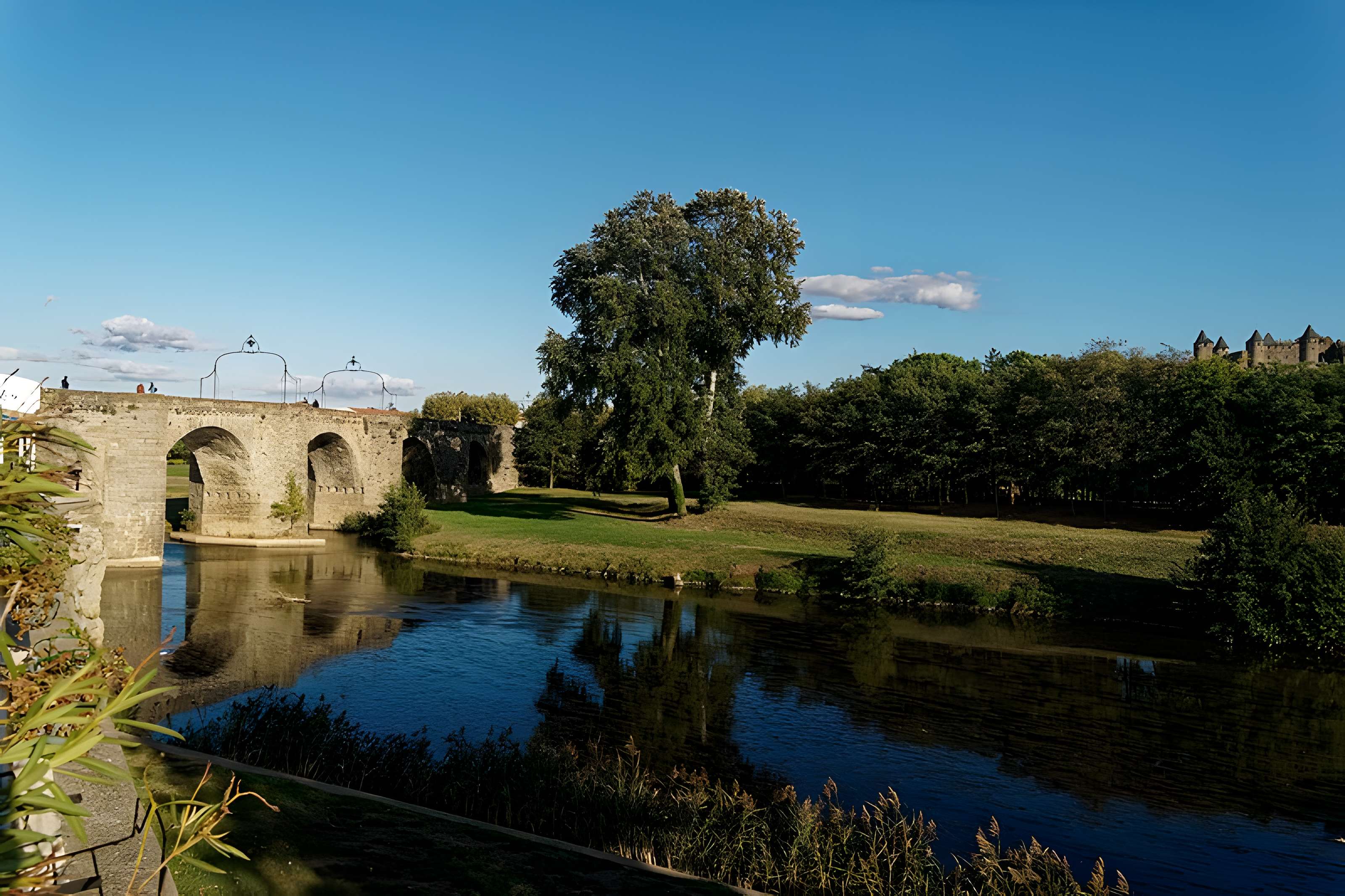Pont Vieux de Carcassonne