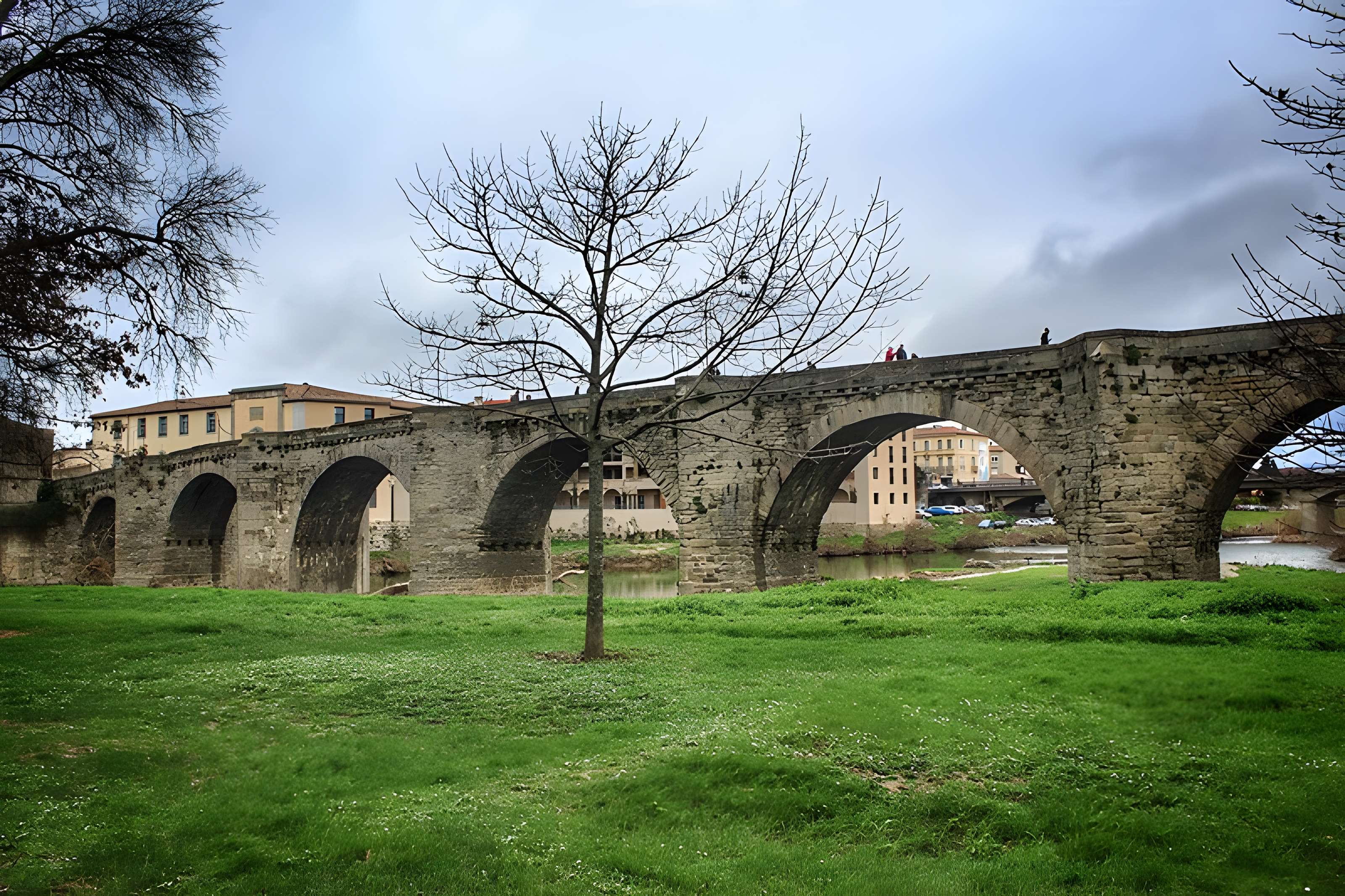 Pont Vieux de Carcassonne