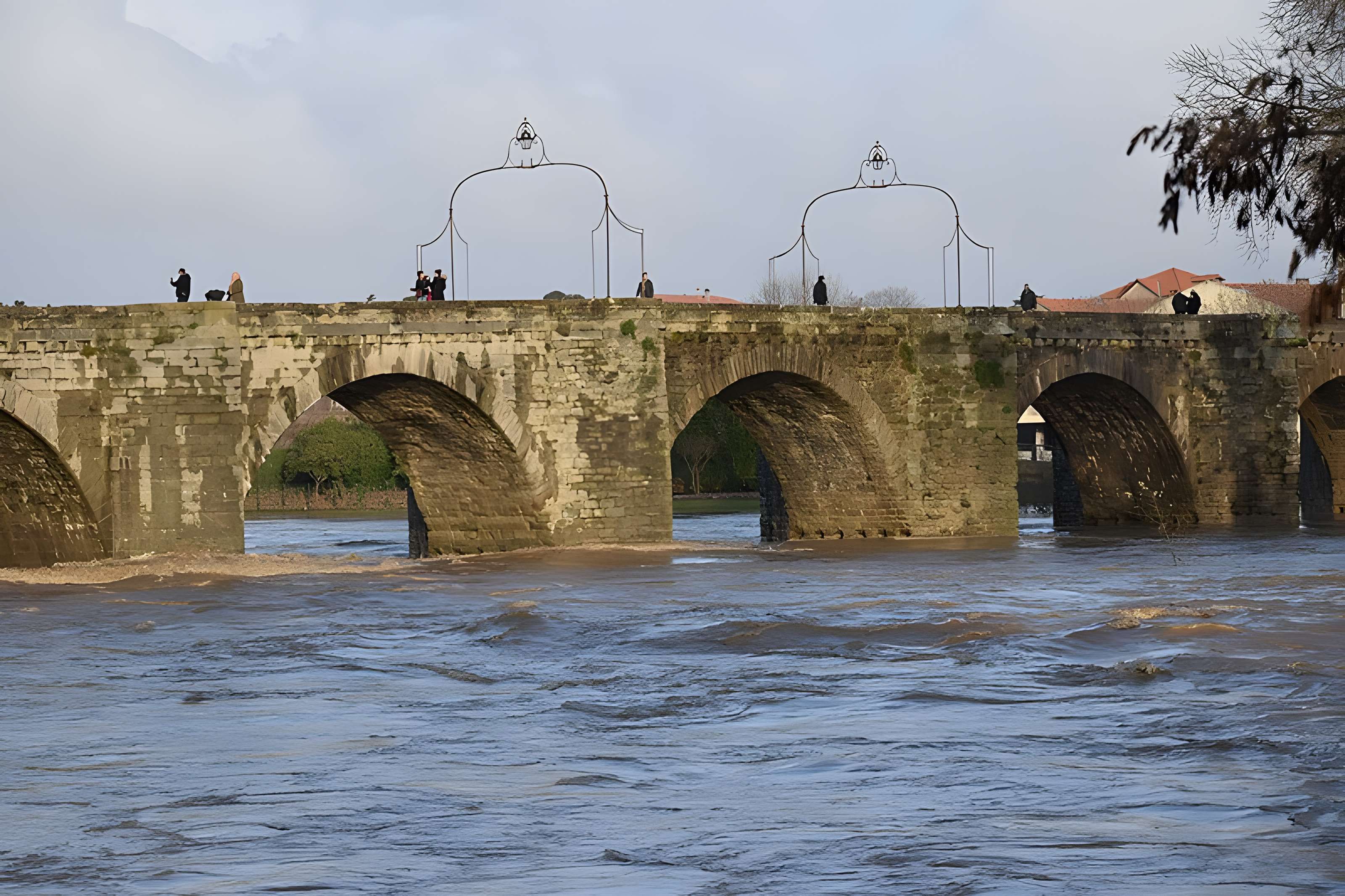 Pont Vieux de Carcassonne