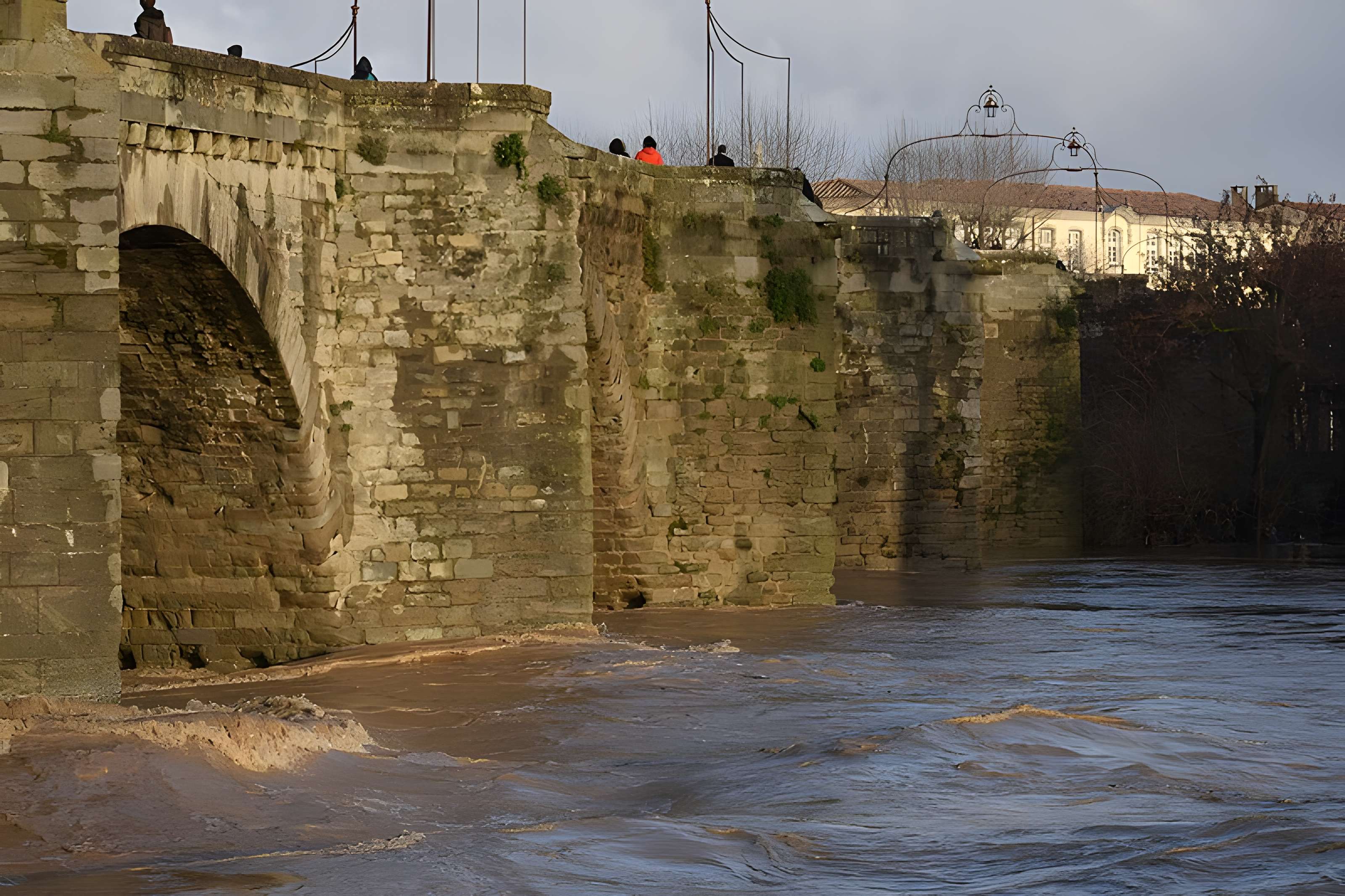 Pont Vieux de Carcassonne