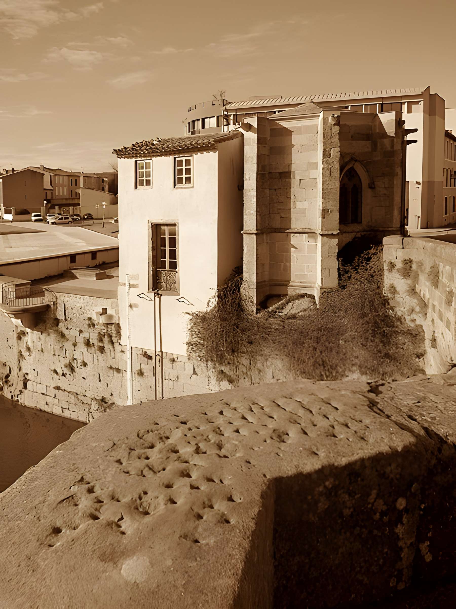 Pont Vieux de Carcassonne