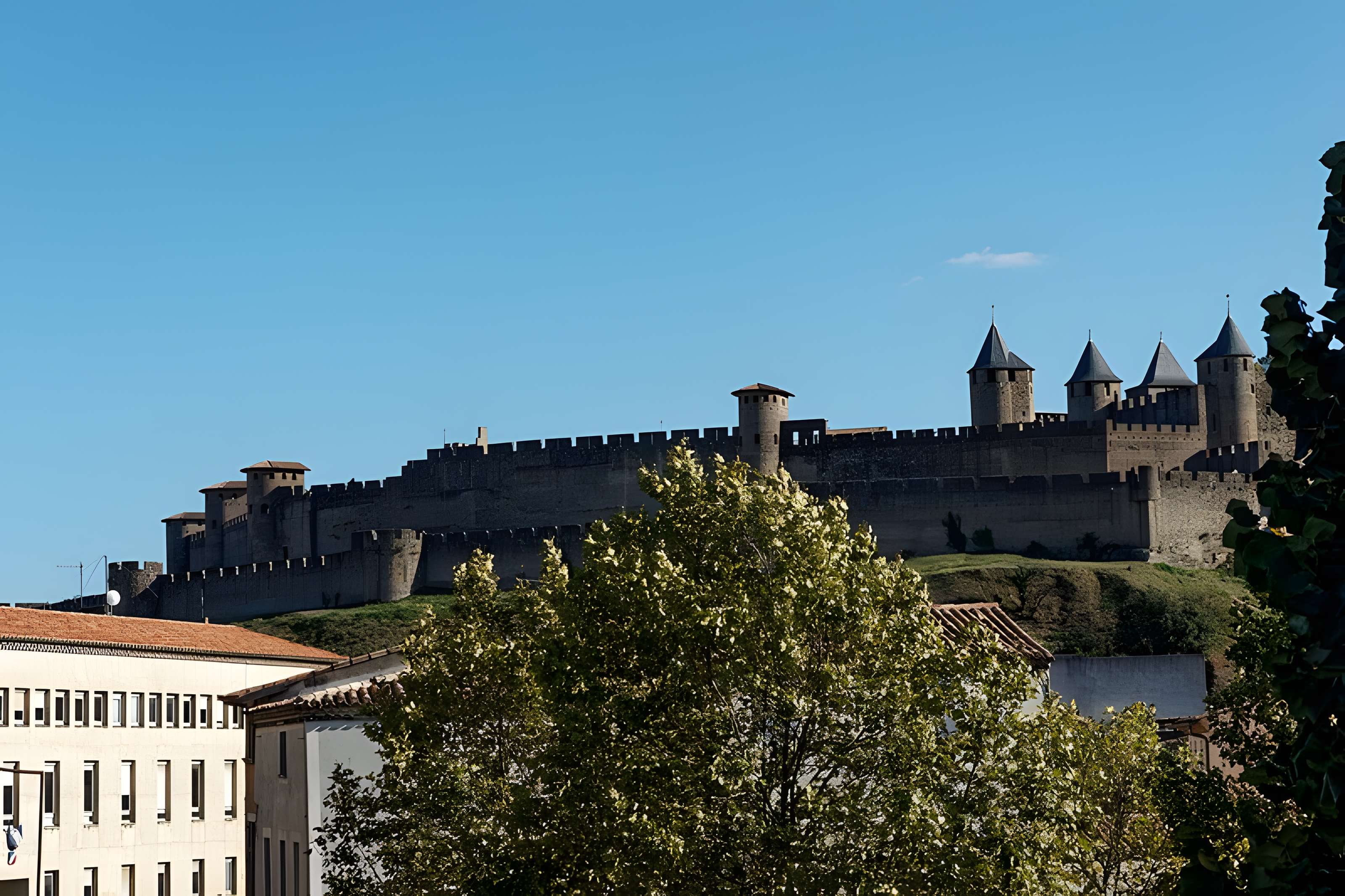 Pont Vieux de Carcassonne