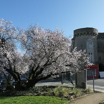 Porte Beucheresse de Laval