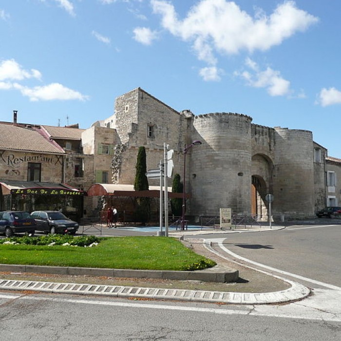 Photo de Porte de la Condamine de Tarascon