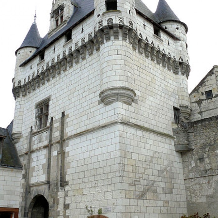 Photo de Porte des Cordeliers de Loches