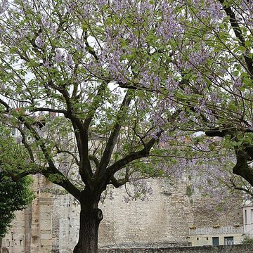 Portique romain du Forum de Vienne