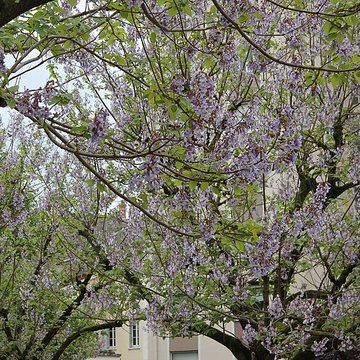 Portique romain du Forum de Vienne