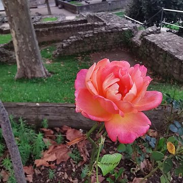 Portique romain du Forum de Vienne