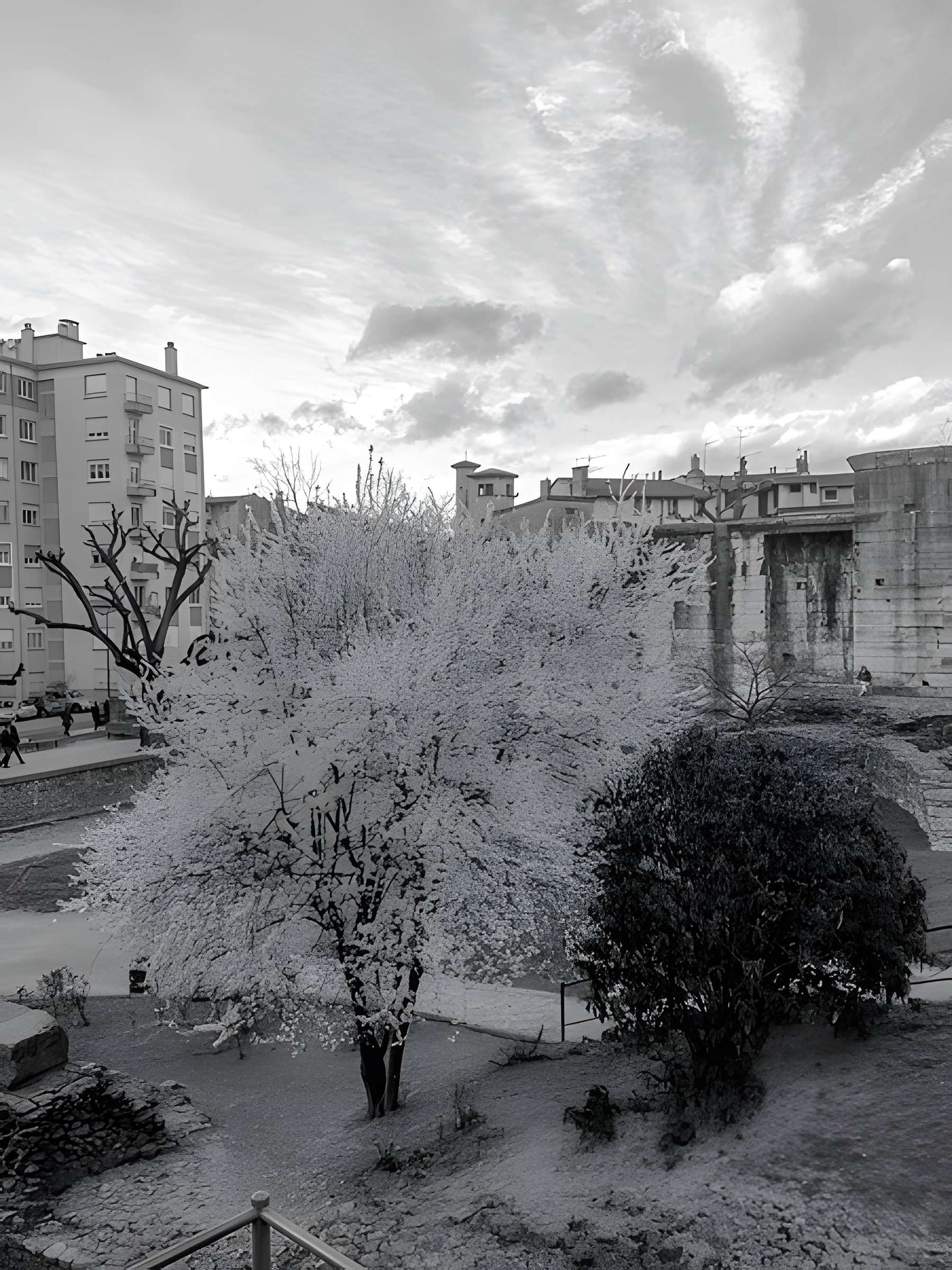 Portique romain du Forum de Vienne