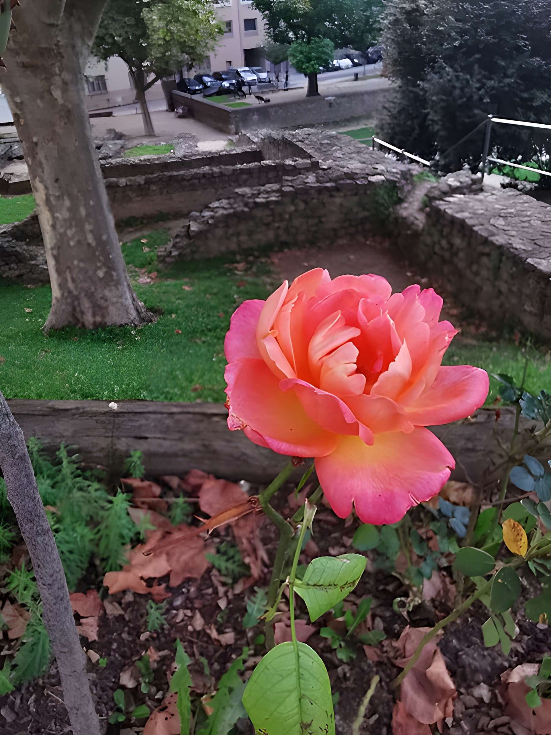 Portique romain du Forum de Vienne