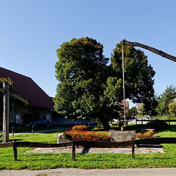 Puits à balancier de Croix