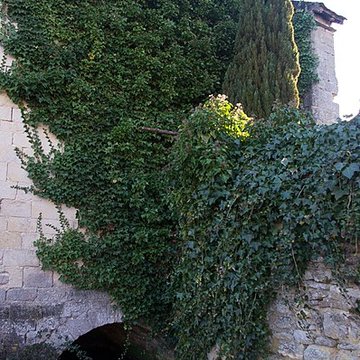 Puits couvert de Varzy