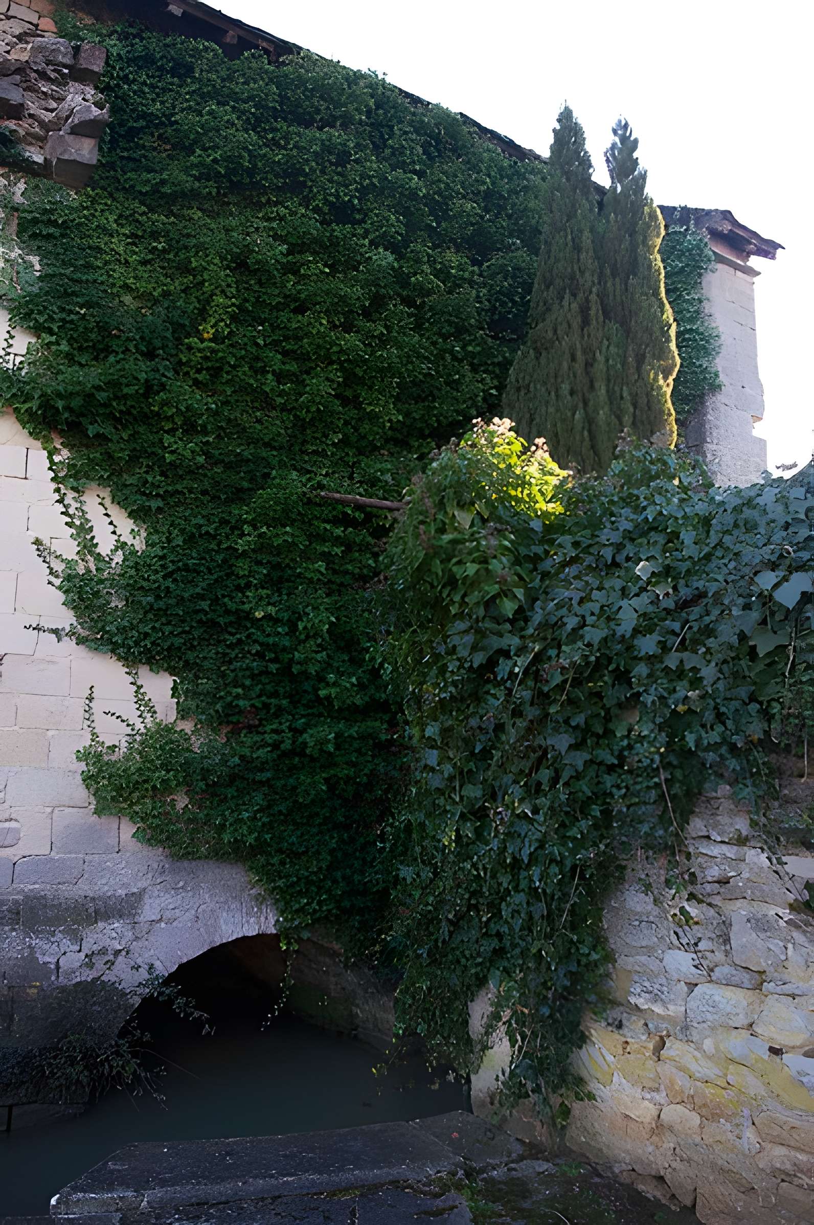 Puits couvert de Varzy