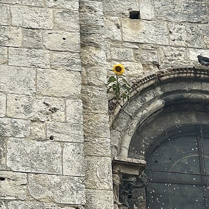 Photo de Collégiale Notre-Dame-du-Fort dÉtampes