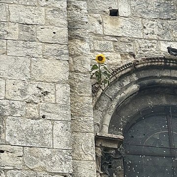 Collégiale Notre-Dame-du-Fort dÉtampes