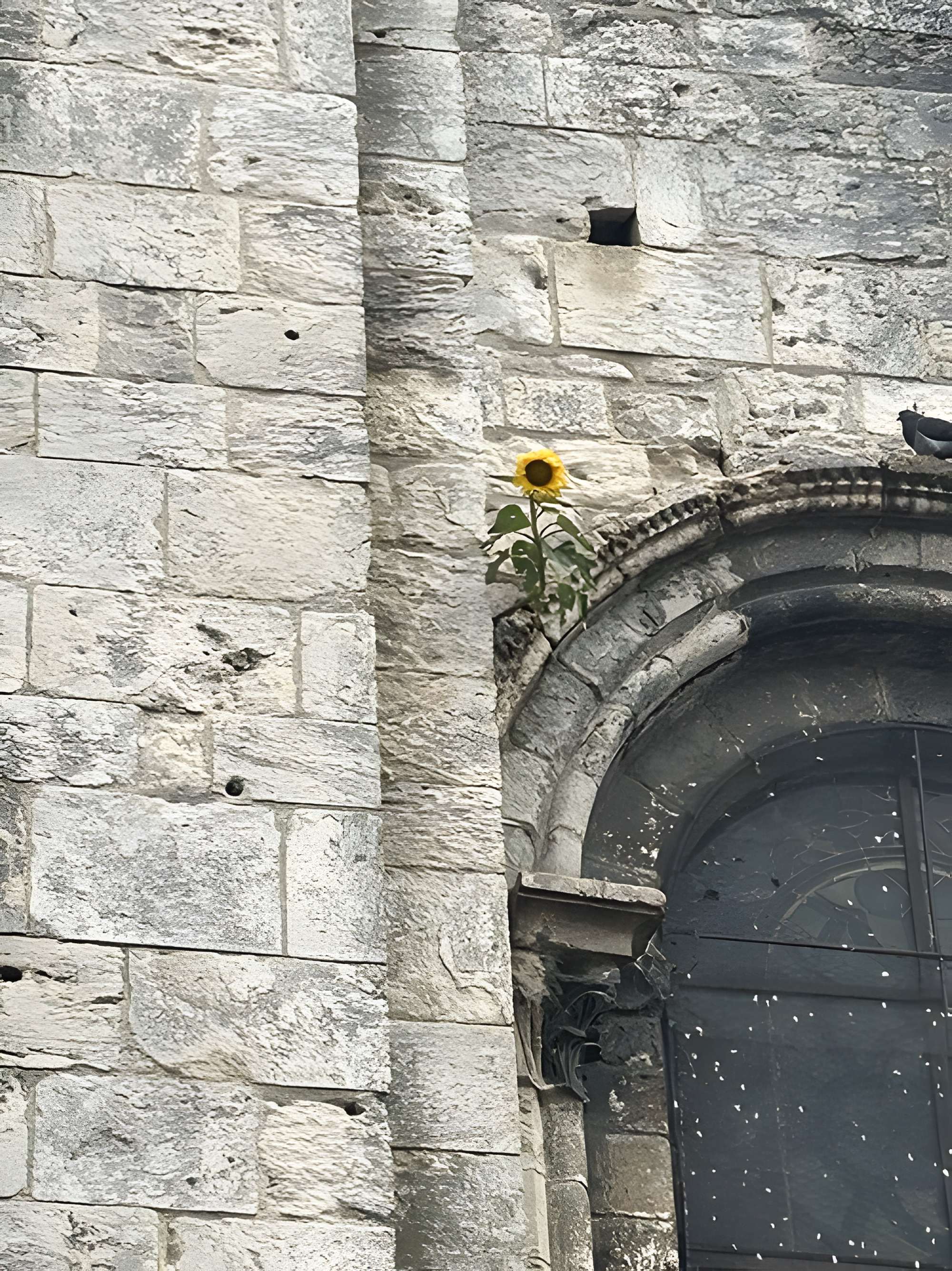 Collégiale Notre-Dame-du-Fort d'Étampes