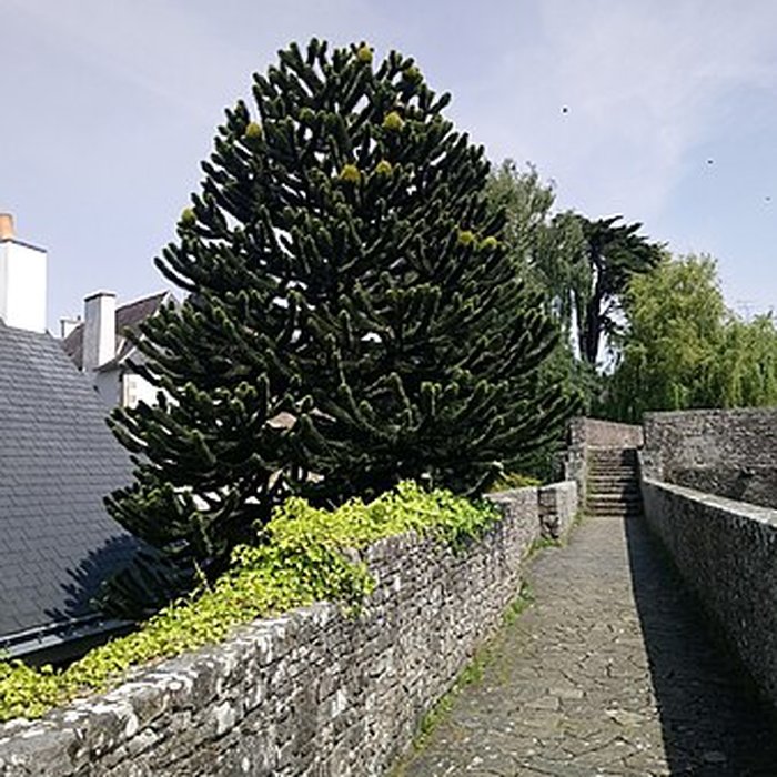 Photo de Remparts de Hennebont