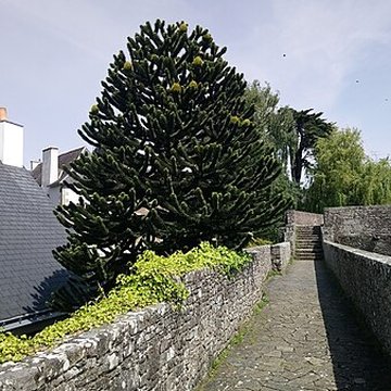 Remparts de Hennebont