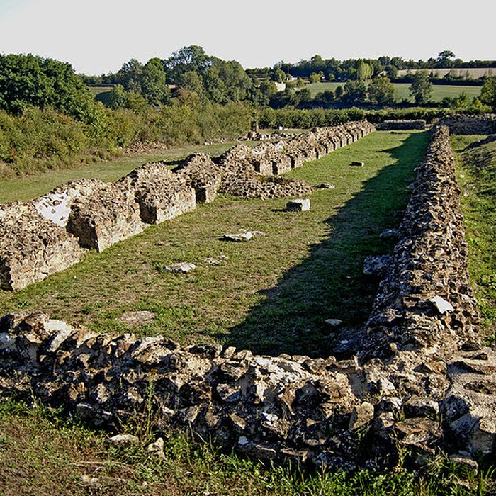Photo de Ruines gallo-romaines dHerbord à Sanxay