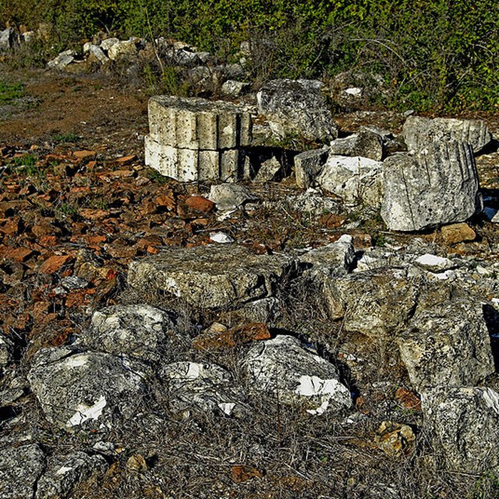 Photo de Ruines gallo-romaines dHerbord à Sanxay