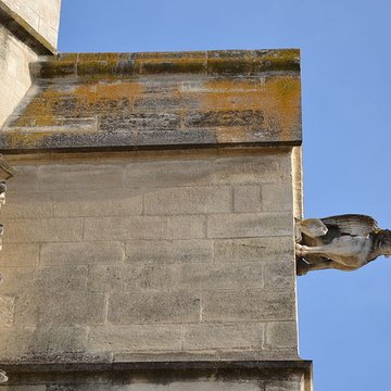 Collégiale Saint-Agricol dAvignon 