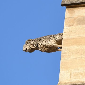 Collégiale Saint-Agricol dAvignon 