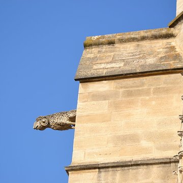 Collégiale Saint-Agricol dAvignon 