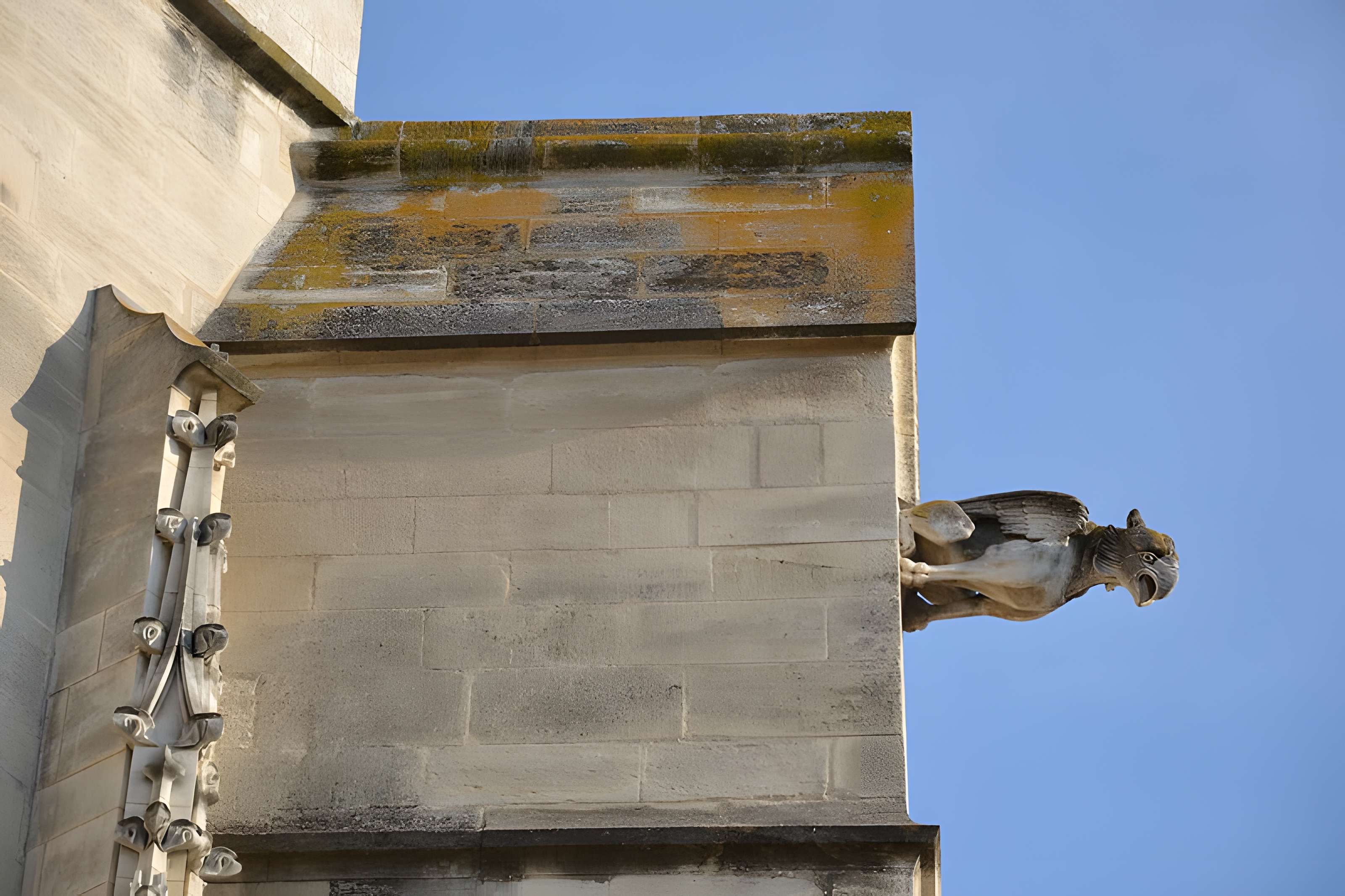 Collégiale Saint-Agricol d'Avignon 