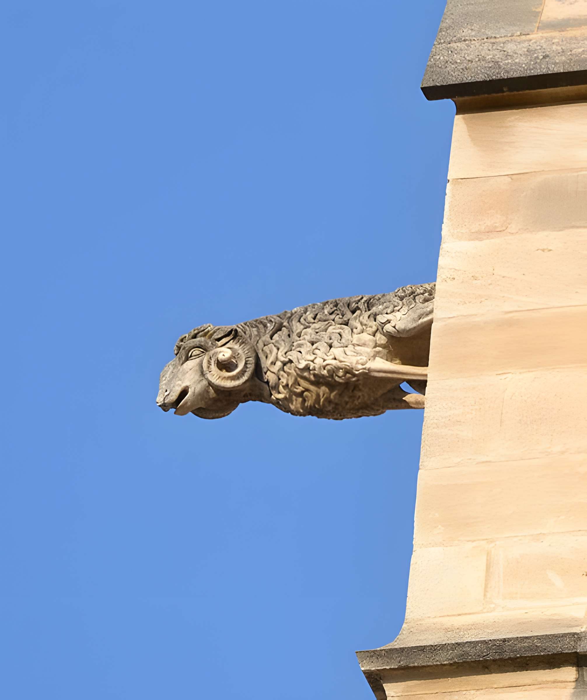 Collégiale Saint-Agricol d'Avignon 