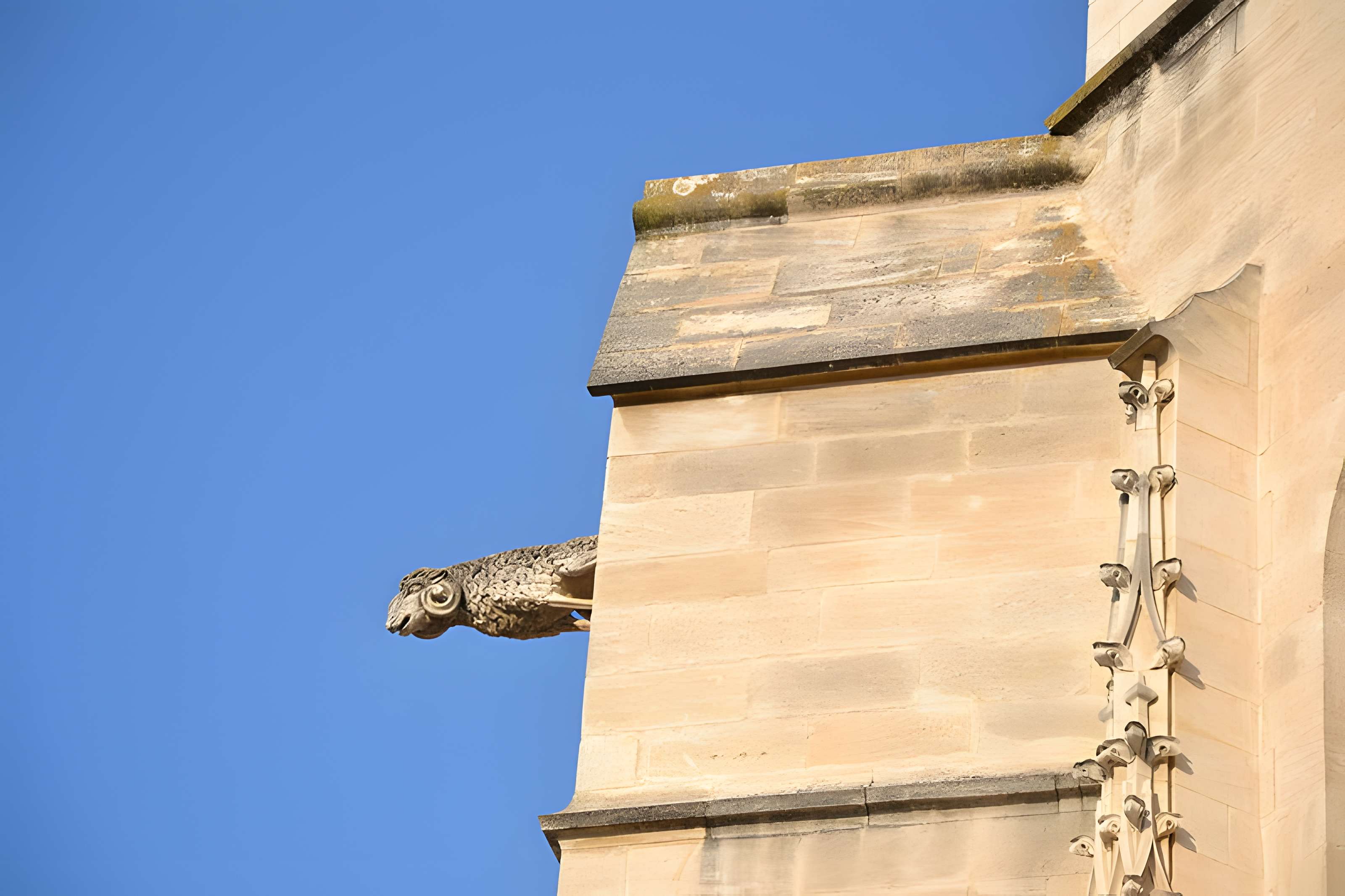 Collégiale Saint-Agricol d'Avignon 