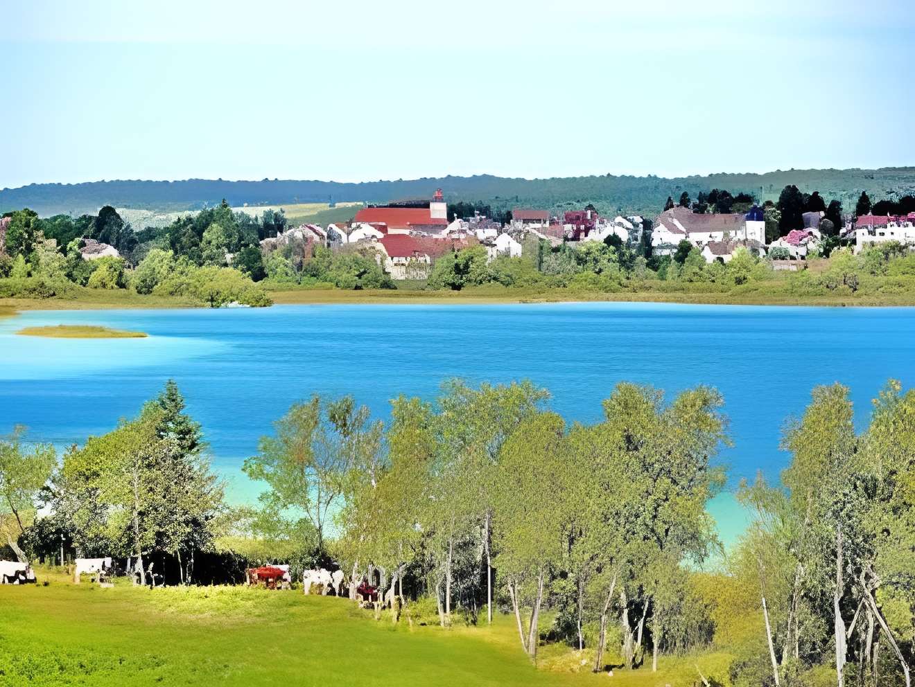 Stations préhistoriques de Clairvaux-les-Lacs 