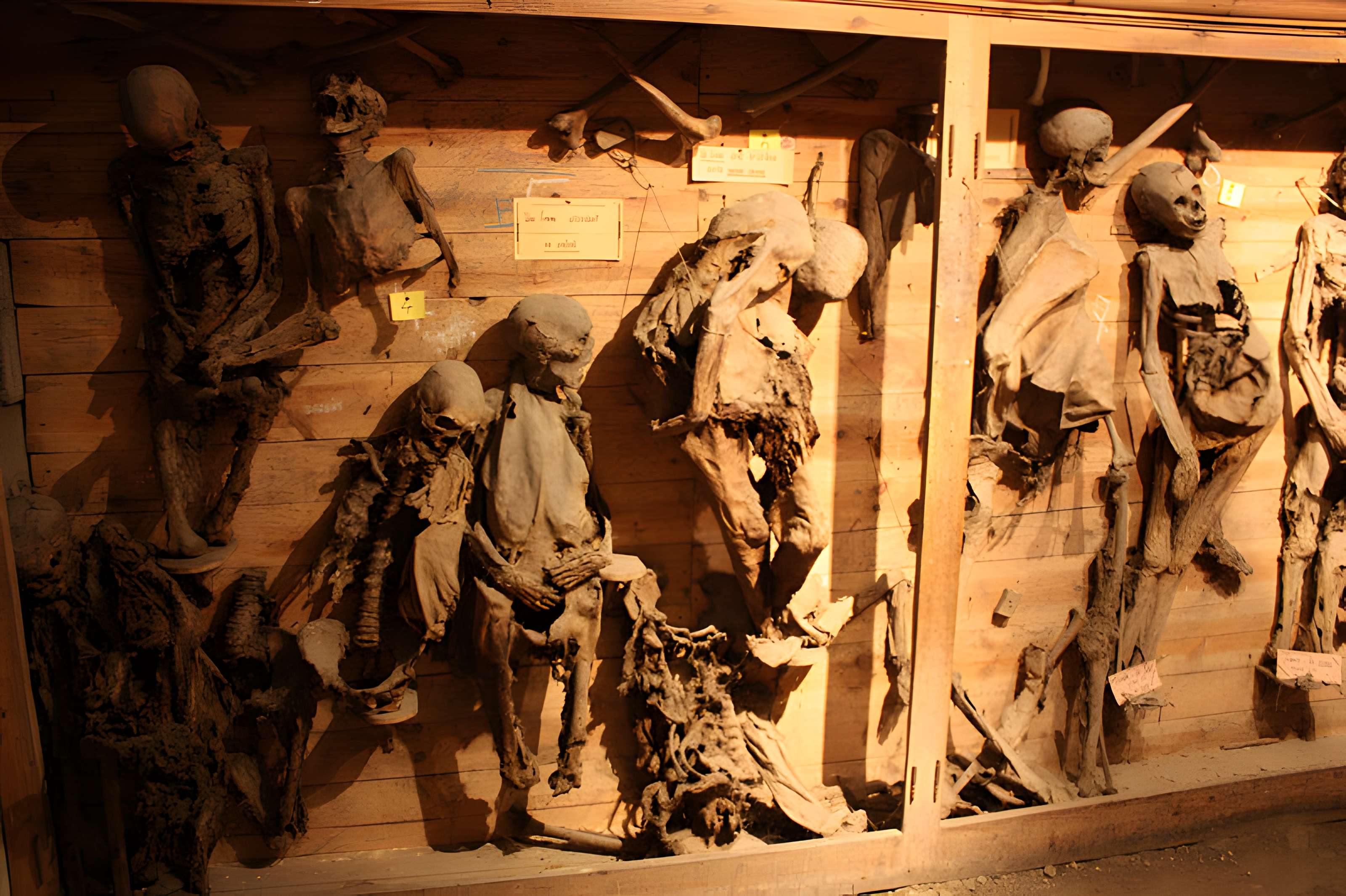 Collégiale Saint-Bonnet de Saint-Bonnet-le-Château