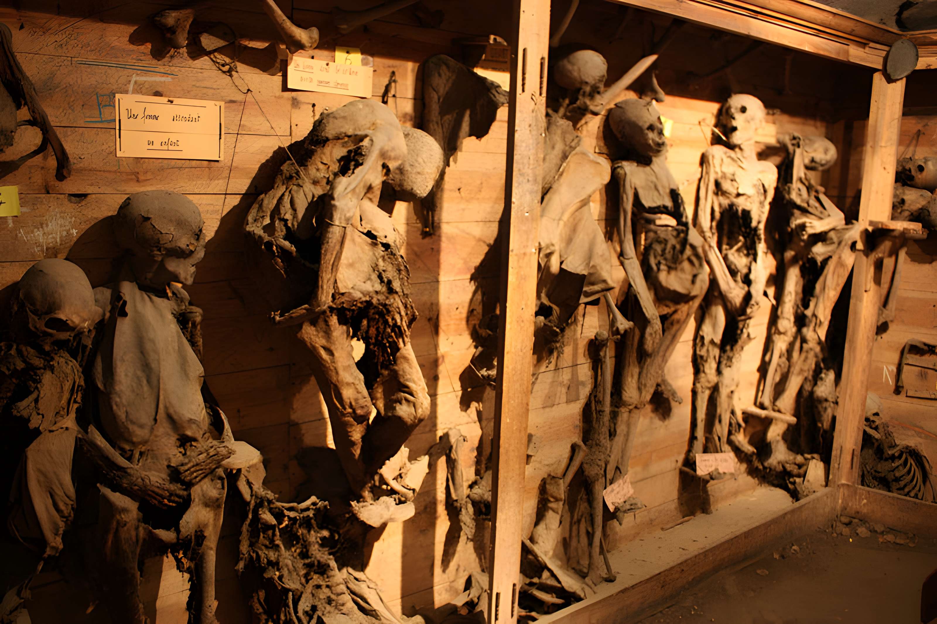 Collégiale Saint-Bonnet de Saint-Bonnet-le-Château