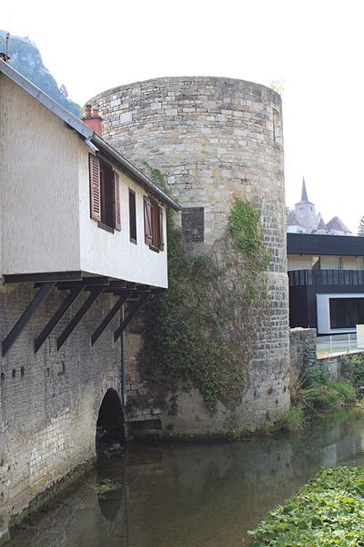 Photo de Tour de Flore de Salins-les-Bains