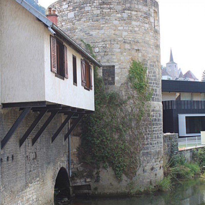 Photo de Tour de Flore de Salins-les-Bains
