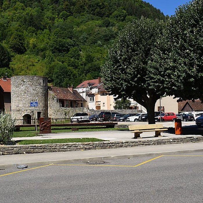 Photo de Tour de Flore de Salins-les-Bains